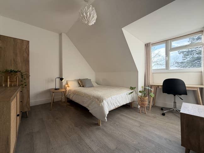 Beautiful Modern Rooms | St Johns |Available now!  Main Photo