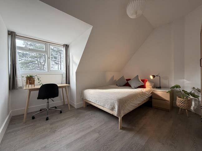 Beautiful Modern Rooms | St Johns |Available now!  Main Photo