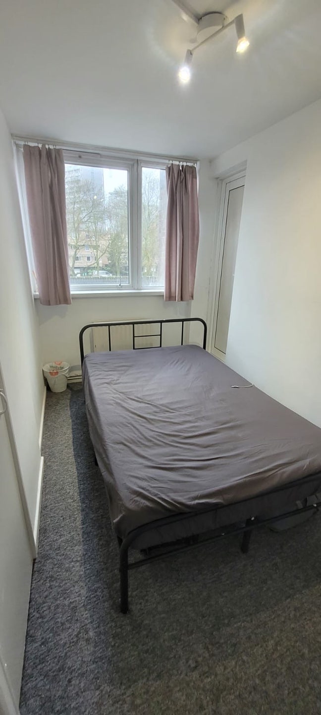 Spacious room in Paddington/Warwick Avenue Main Photo