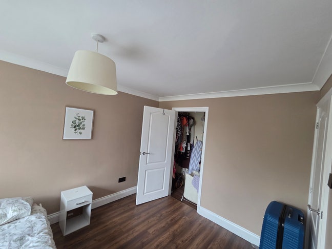 Female Flatmate wanted Main Photo