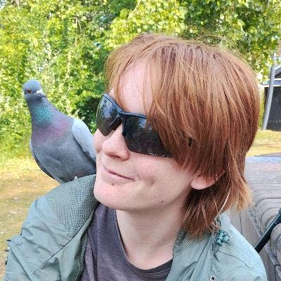 Room request for a friendly placement year student Main Photo