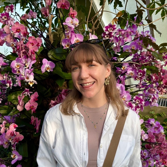 Looking for a 6-Month Sublet | SW London Main Photo