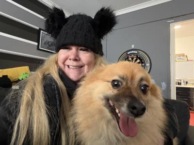 Looking for right  place to live for me and my Pom Main Photo