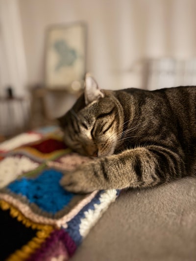 Bright Double Bedroom Near Station  Main Photo