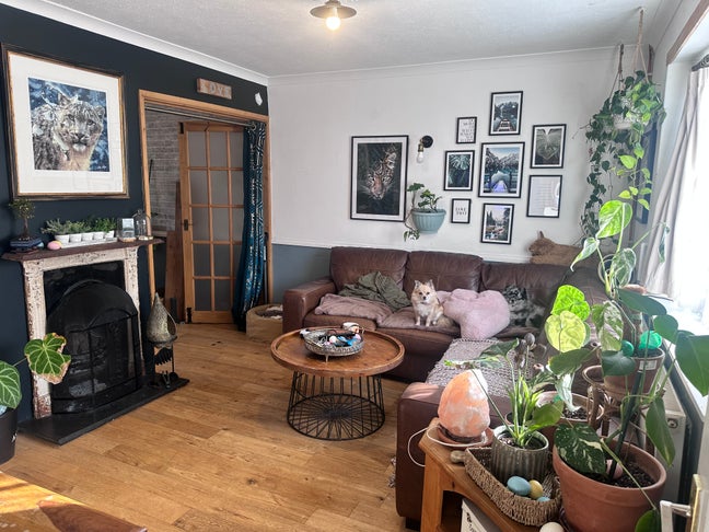 Room to Rent in Creative, Garden-Focused Home Main Photo