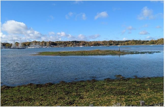Spacious quiet  room by Hook nature reserve Main Photo