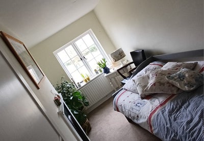 Peaceful  Countryside Cottage Room with Garden!  Main Photo