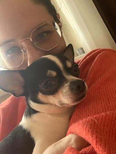 looking for studio / 1-bed or friendly flatshare Main Photo