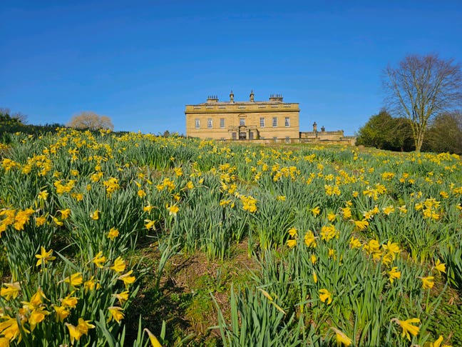 Spare en suite room  Main Photo