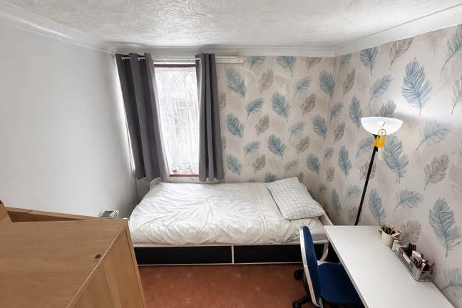 Single room to let Main Photo