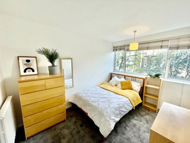 Gorgeous Room in Pimlico, Central London Main Photo