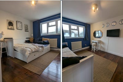 Double room: own toilet & TV, 1 housemate, 2 cats Main Photo