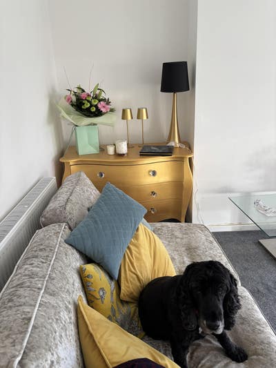 Large Bedroom in Downstairs Flat Main Photo