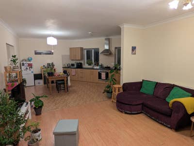 Friendly flatmate wanted – unfurnished double room Main Photo