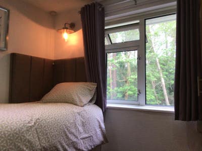 Large Single Room Bills Included 5 mins to Station Main Photo