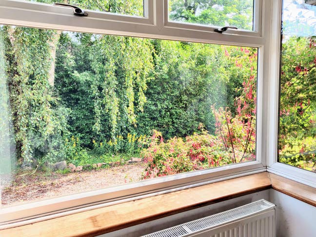 Leafy Bungalow - All Female Respectful Housemates Main Photo