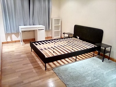 Large double room in spacious flat Main Photo