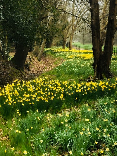 Mon to Fri  Bedroom with En-suite  Main Photo