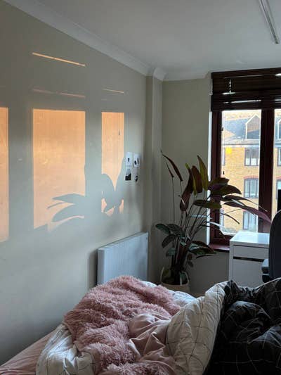 Room in a Shared Flat, Hermitage Court, E1W Main Photo