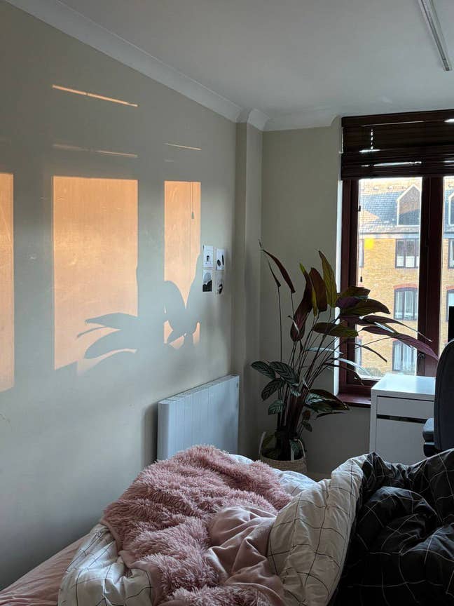 Room in a Shared Flat, Hermitage Court, E1W Main Photo