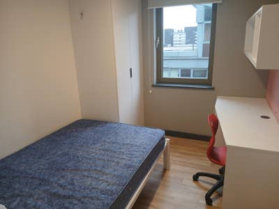 Need a replacement  Main Photo