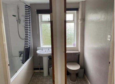 Room for rent - Hatfield Main Photo