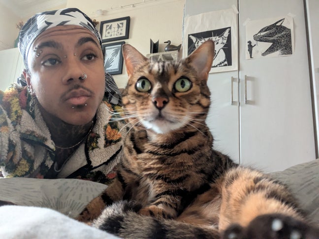 Live with the best cat in the world Main Photo