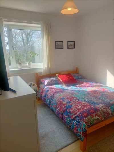 Double room with living room in Roehampton Main Photo