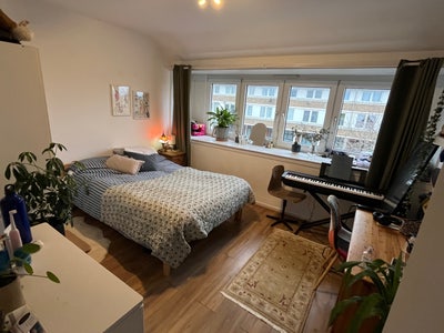 Gorgeous large room in SE15 Main Photo