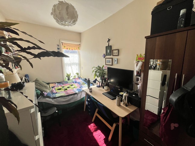 🐈‍⬛🎷Arty shared home with cat!  Main Photo