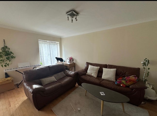 Lovely flat available & cat sitting Main Photo