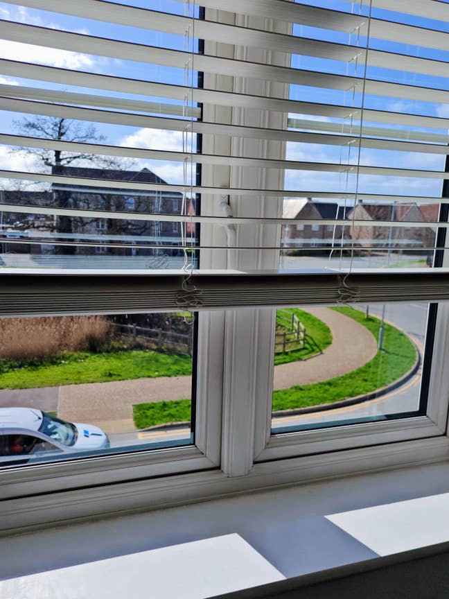 Bright  double bed room for professionals  Main Photo