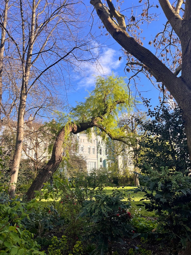 Bright Double Room + Private Garden, Notting Hill  Main Photo