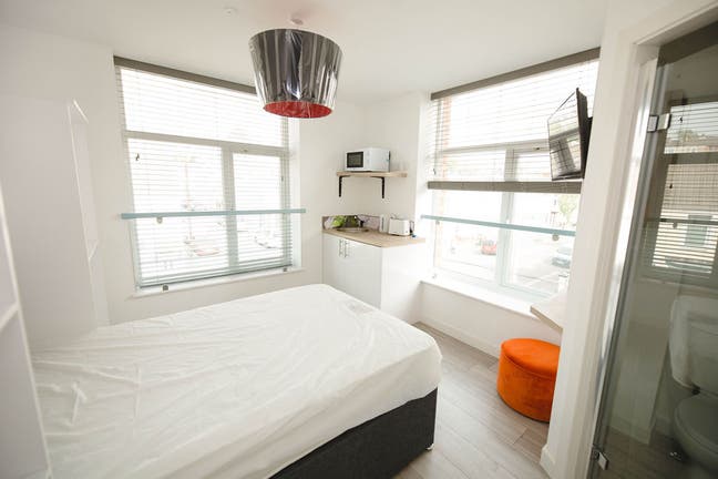 All Inclusive Double Ensuite Room, Brynmill. Main Photo