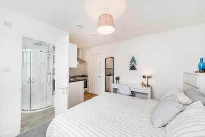 Studio- en suite and kitchenette 10 mins to tube  Main Photo