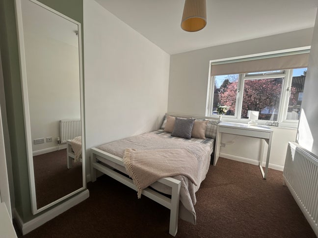 🌳Stunning Professional House Share🌳 Main Photo