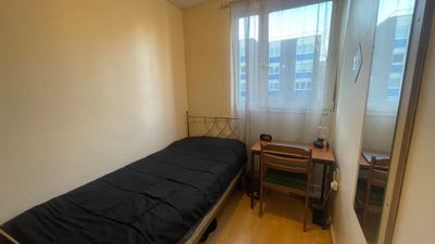 Bright Single Room near Mile End Main Photo