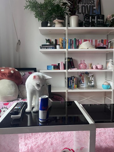 Cosy Double Room Close To Whitechapel Station🐱 Main Photo