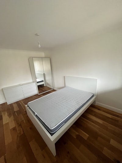 3 freshly renovated rooms available in Forest Hill Main Photo