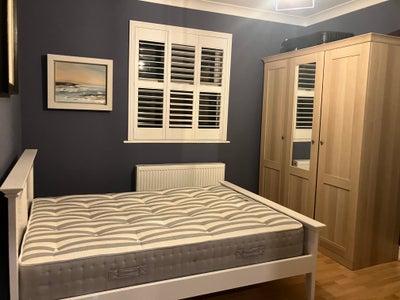 Spacious Double Room in Mature Household For Rent Main Photo