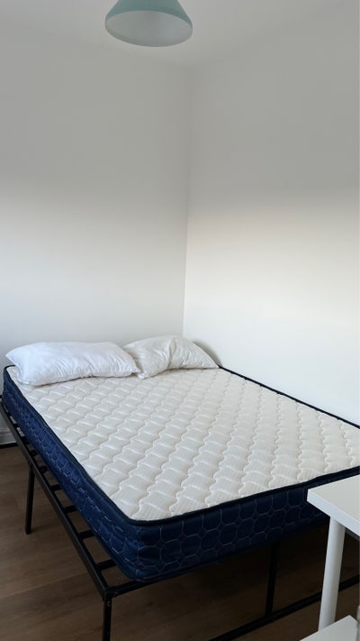 Bright Furnished Room Available  Main Photo