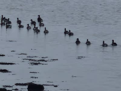 I'm looking for a quiet room. I'm a calm pers... Main Photo