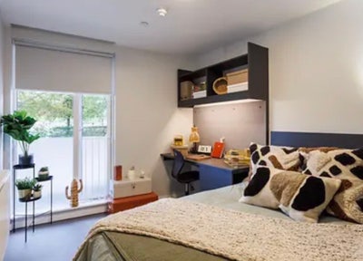 Large and comfy en-suite in Bermondsey.  Main Photo