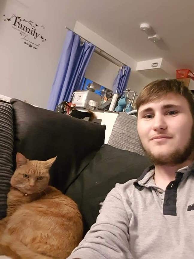 Room wanted  Main Photo