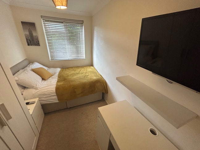 Professional House Share Main Photo