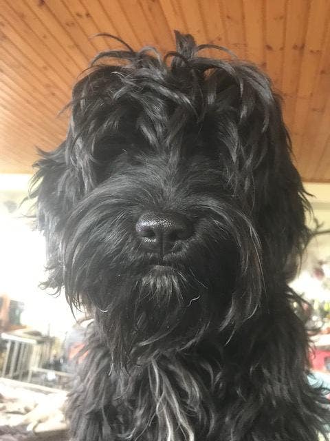 Quiet Double Room Looking Out Over Ben Wyvis Main Photo