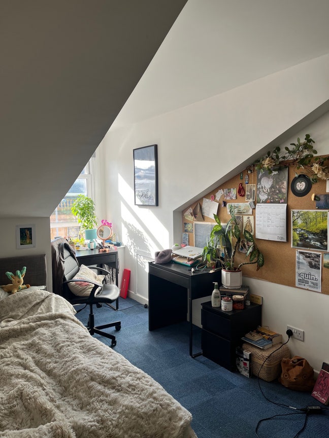 Room available from June on Berkeley St ! Main Photo