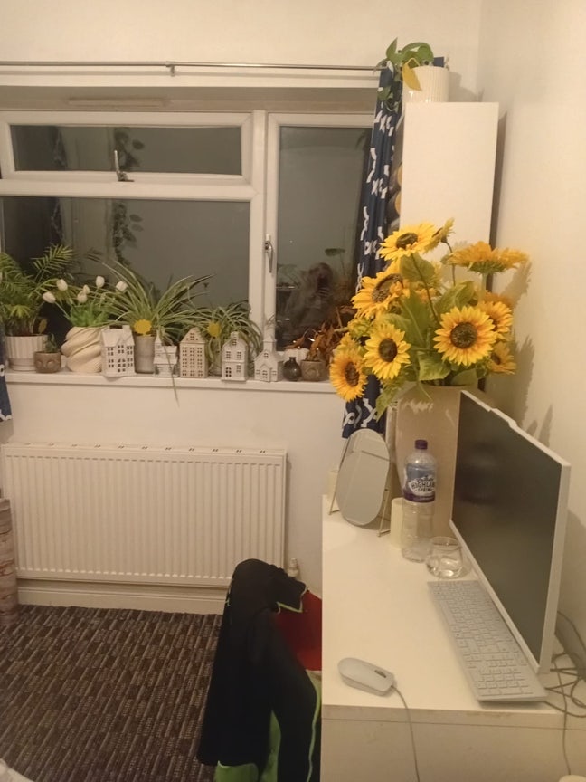 Double room available for rent Main Photo