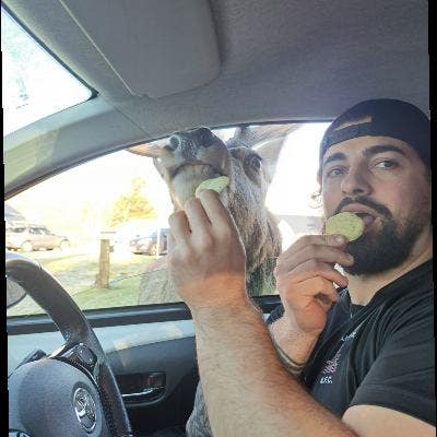 Professional Male seeks a single or double room Main Photo