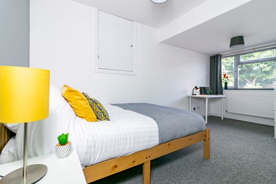 Quiet,  Clean Professional House - Bills Inc. Main Photo